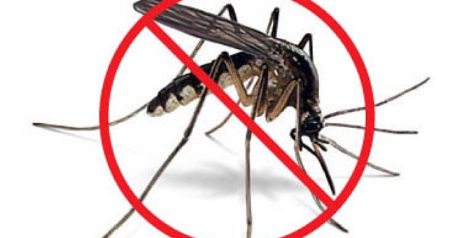 những cách diệt muỗi hiệu quả