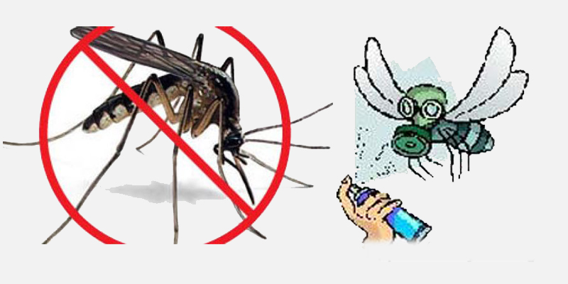 Cách phòng ngừa muỗi 