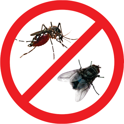 Ngăn chặn ruồi muỗi