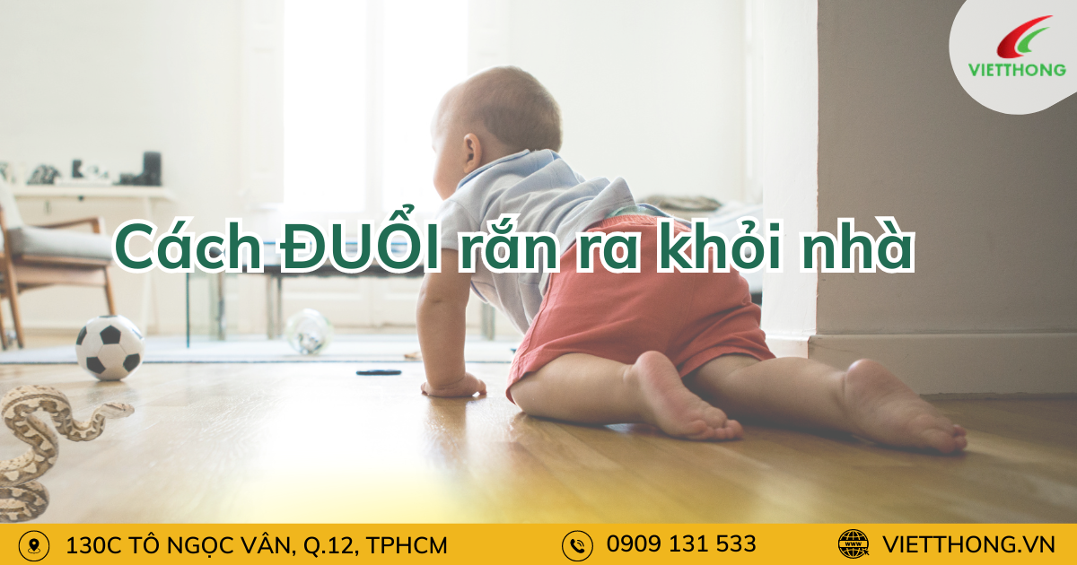 cach duoi ran ra khoi nha