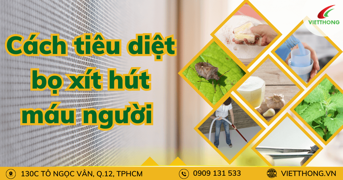 cach tieu diet bo hut mau nguoi