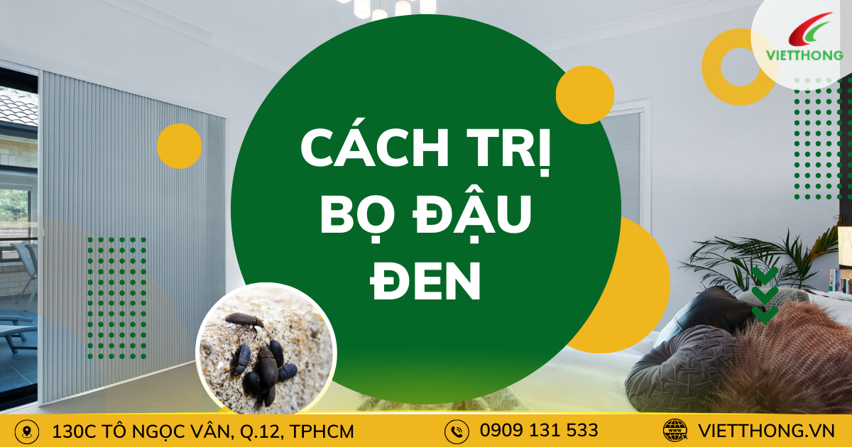 cach tri bo dau den don gian