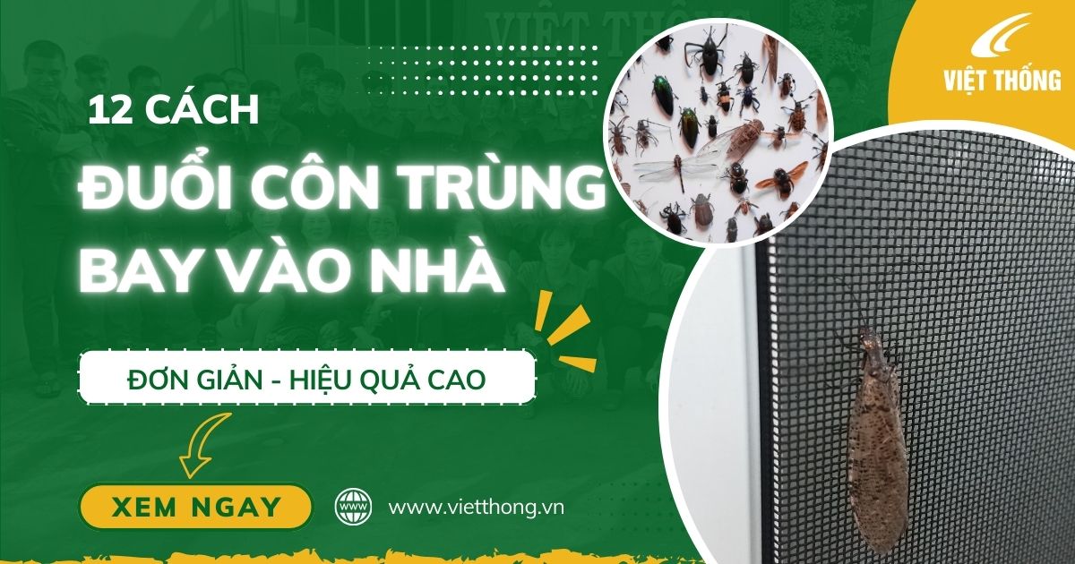 duoi con trung bay vao nha