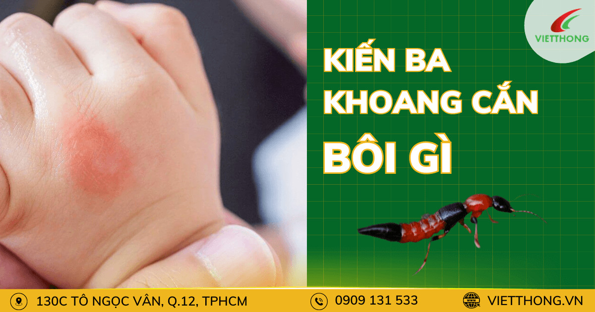 kien ba khoang can nen boi gi