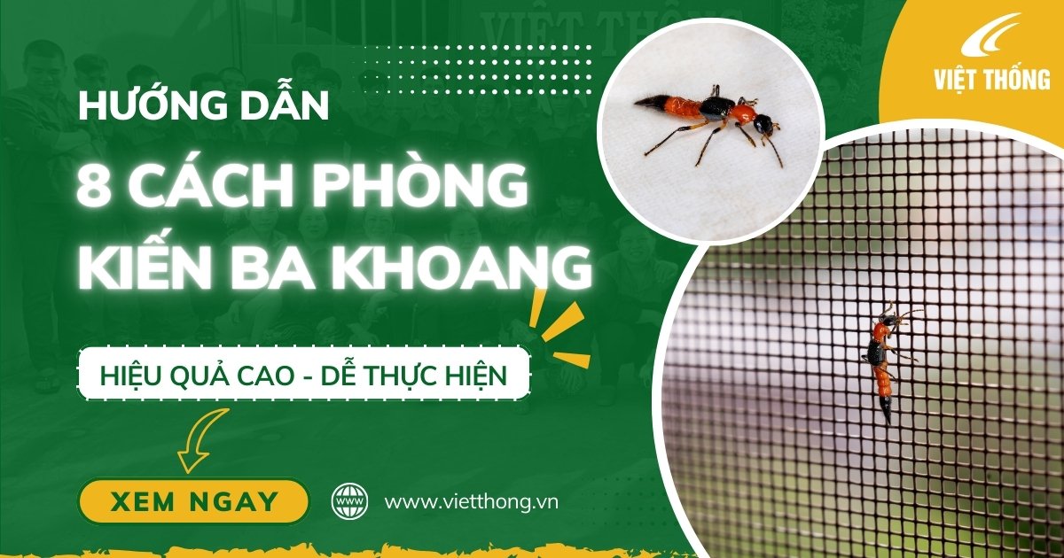 Cách phòng kiến ba khoang hiệu quả