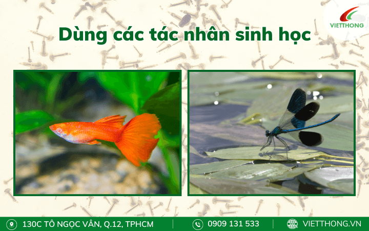 Dùng các tác nhân sinh học