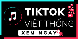 Kênh Tiktok Việt Thống