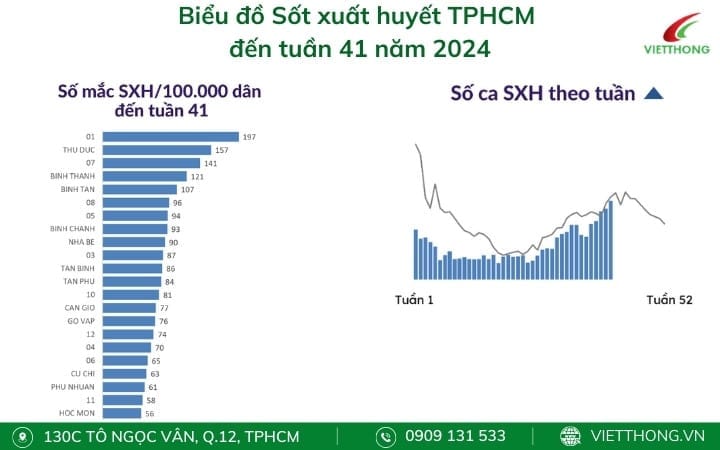 Biểu đồ sốt xuất huyết tuần 41 năm 2024 HCM