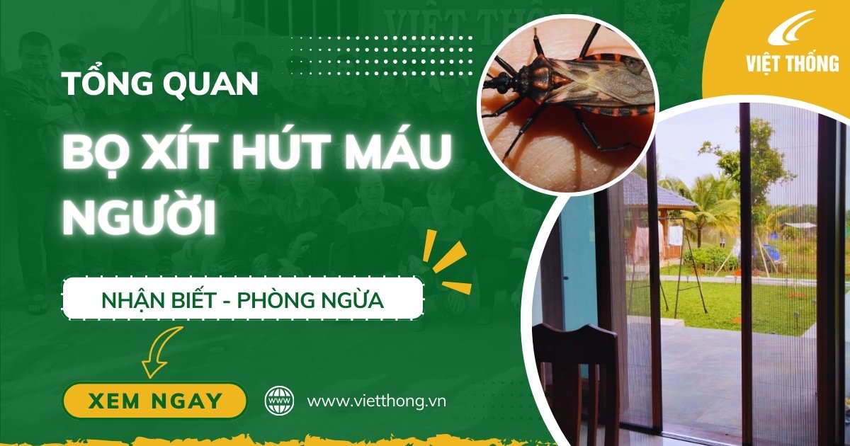 bọ xít hút máu người