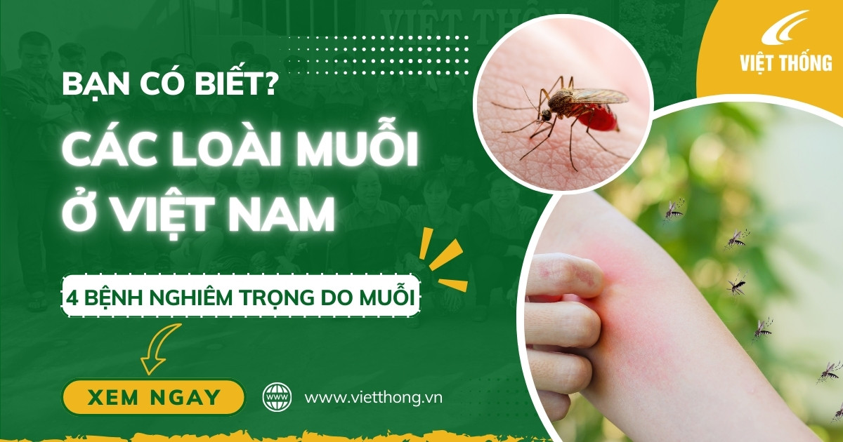 Các loài muỗi ở Việt Nam