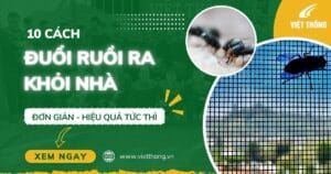 10 Cách đuổi ruồi ra khỏi nhà hiệu quả tức thì