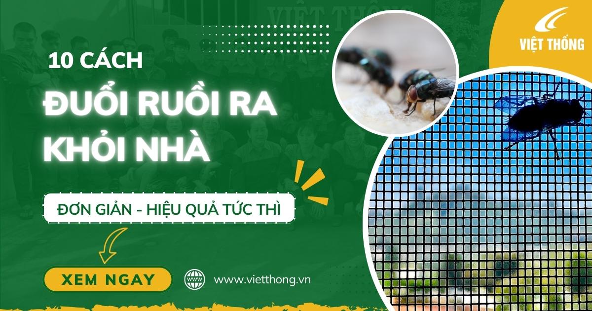 10 Cách đuổi ruồi ra khỏi nhà hiệu quả tức thì