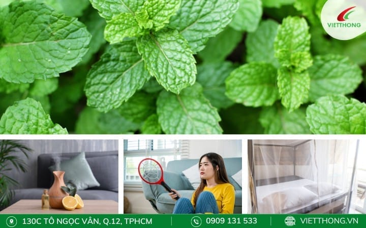 cách biện pháp phòng muỗi