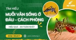 Muỗi vắn sống ở đâu