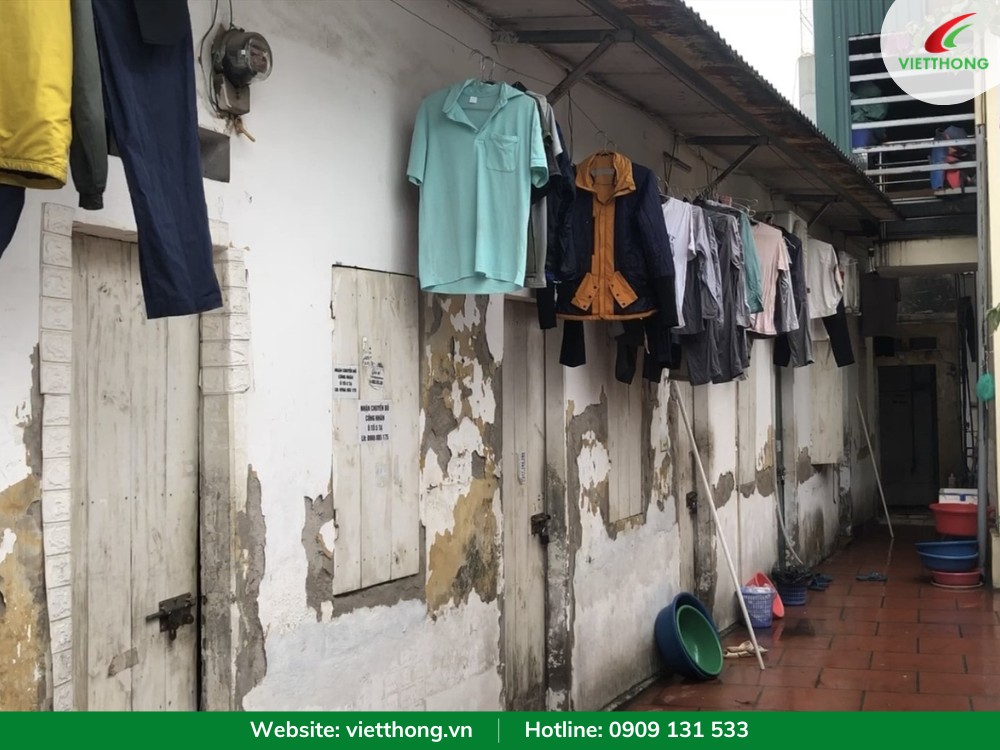 Phòng trọ ẩm thấp là môi trường sinh trưởng thuận lợi của gián