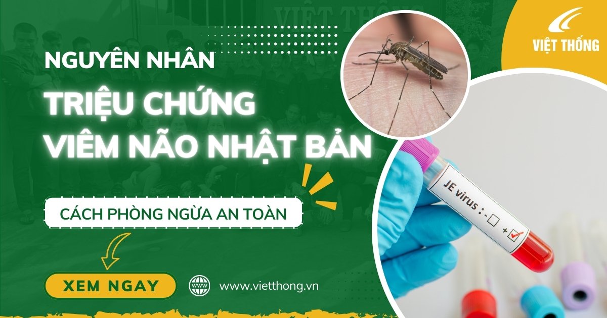 viem nao nhat ban