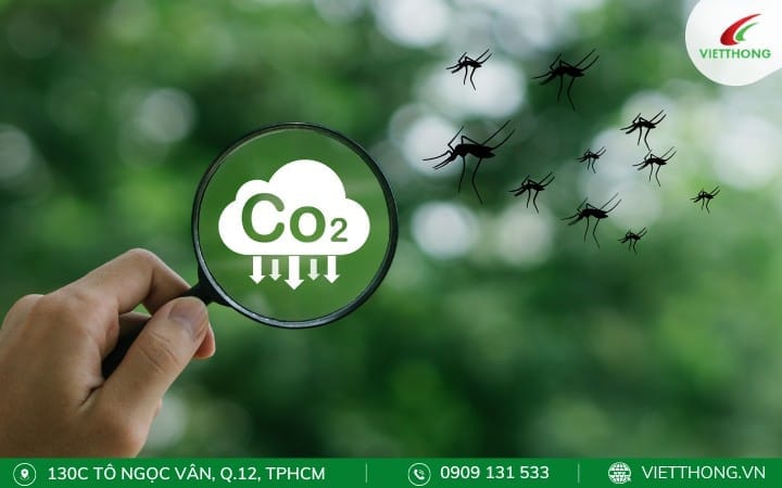 Carbon Dioxide (CO2) Thu Hút Muỗi