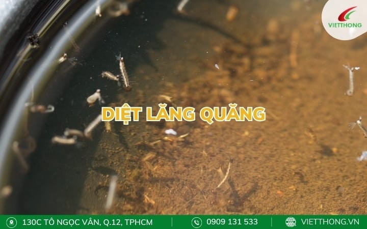Diệt lăng quăng phòng ngừa sự sinh sản của muỗi