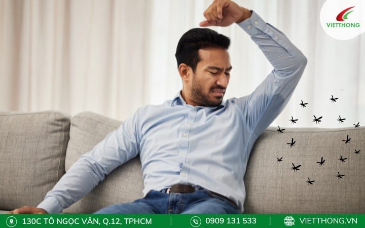 Mùi Cơ Thể Làm Tăng Nguy Cơ Muỗi Đốt Thu Hút Muỗi Nhiều Hơn