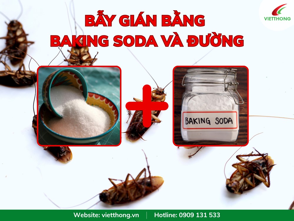 Làm bẫy diệt gián bằng baking soda và đường