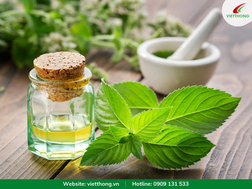 Lọ tinh dầu bạc hà giúp đuổi gián và côn trùng tự nhiên